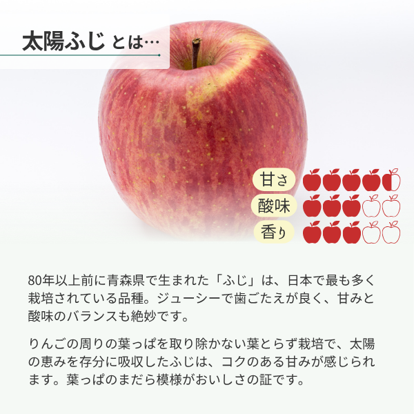 太陽ふじの商品画像 7