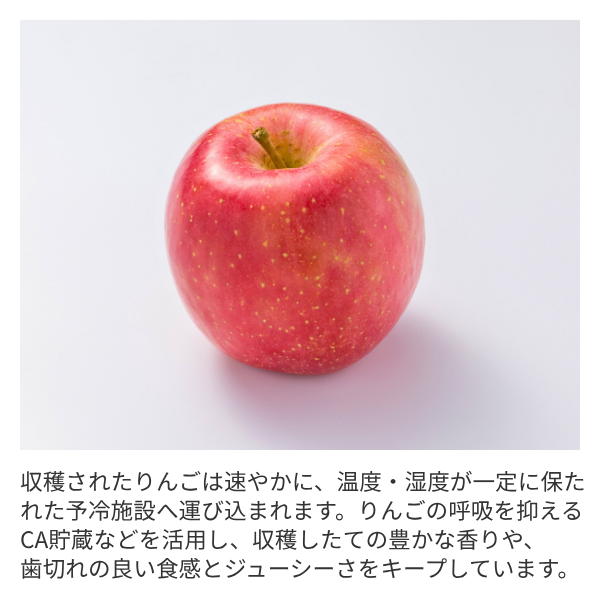 ひろさきふじの商品画像 4
