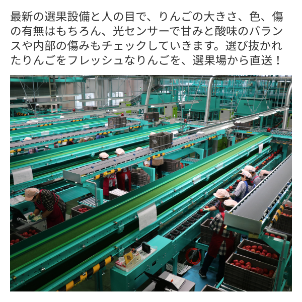 ひろさきふじの商品画像 5