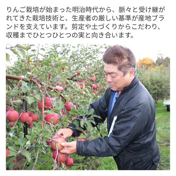 太陽ふじの商品画像 3